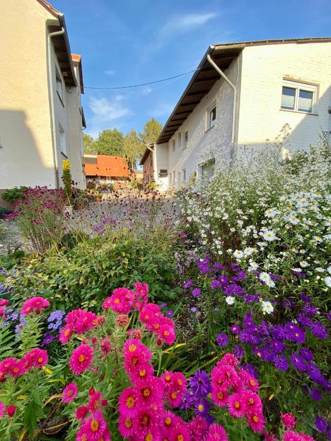 Ferienwohnung Riese Nordhessen Felsberg Kültér fotó